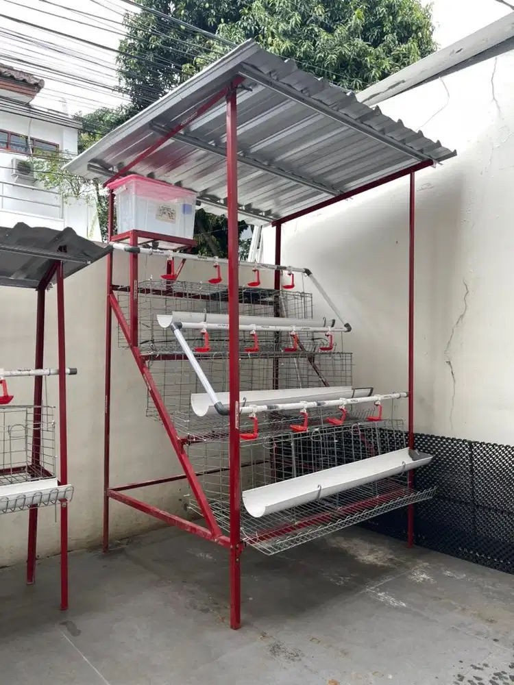 Dijual kandang ayam siap pakai kapasitas 24 ekor , full set lengkap
