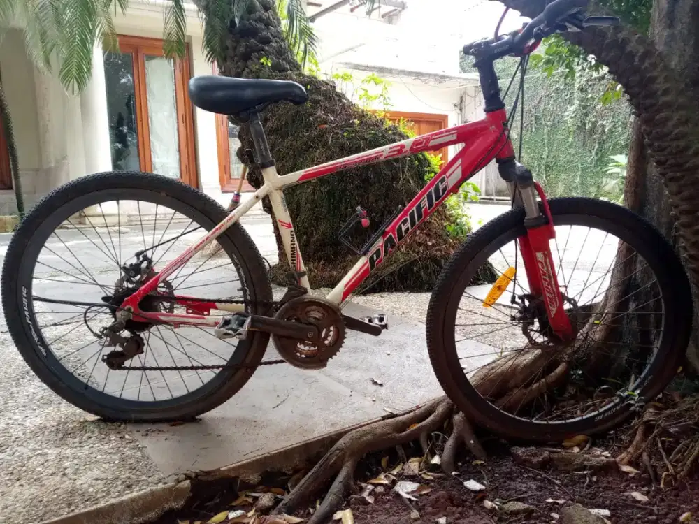 Sepeda merk Pasifik