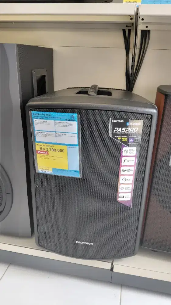 Speaker Polytron 40 watt