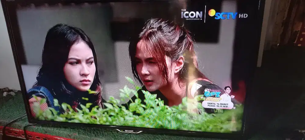 Tv led 24 inch sharp