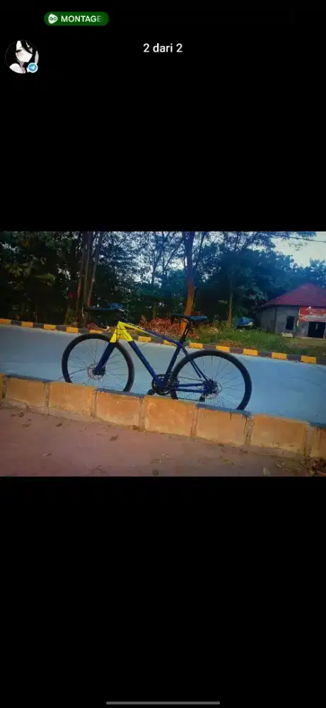 Genio Vangard Roadbike