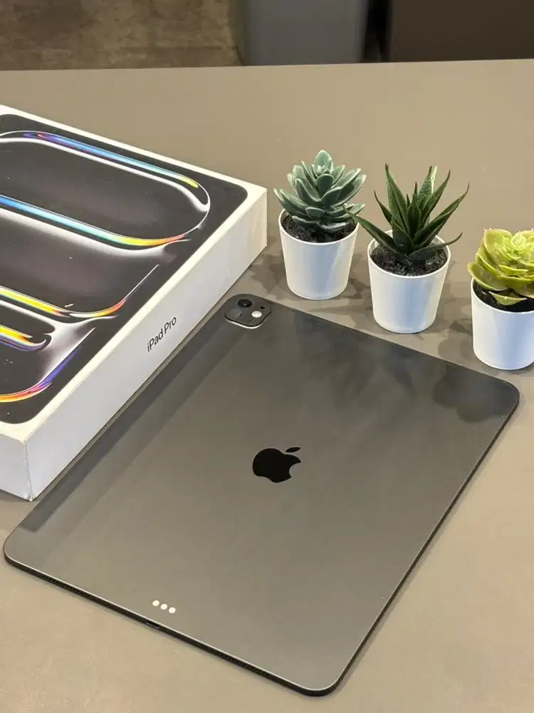 IPad Pro M5 13 inch 256Gb bh 96%