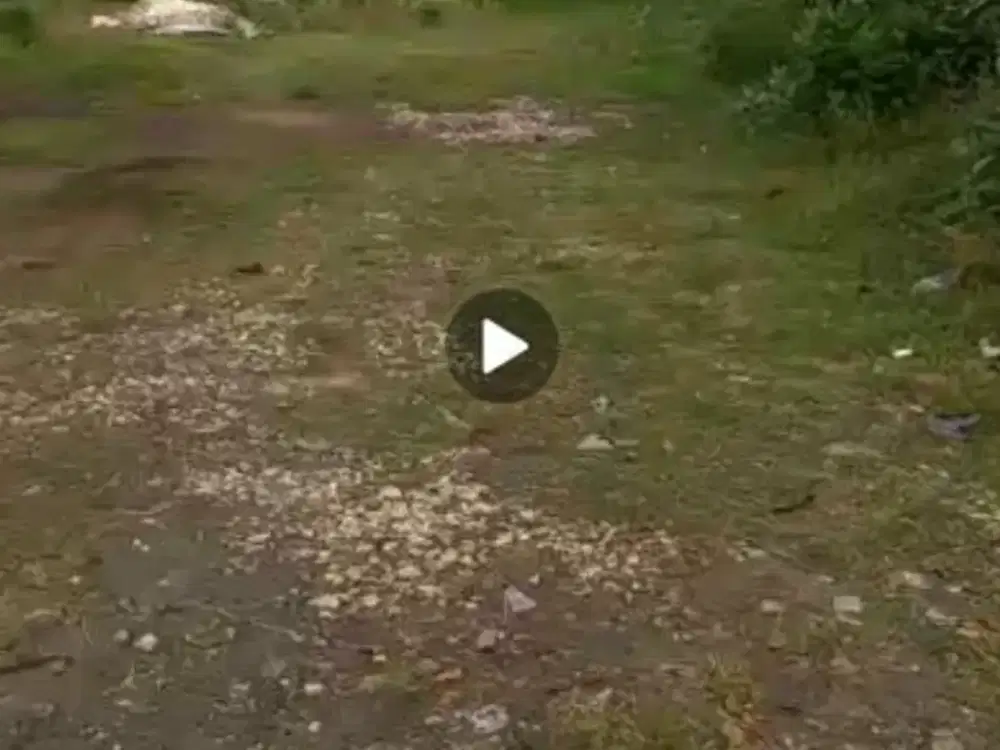 Tanah di Seluke Lasem Rembang