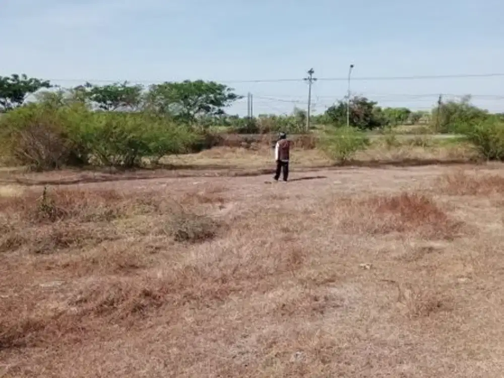 DIJUAL Tanah Nol Jalan Raya Jenu Tuban