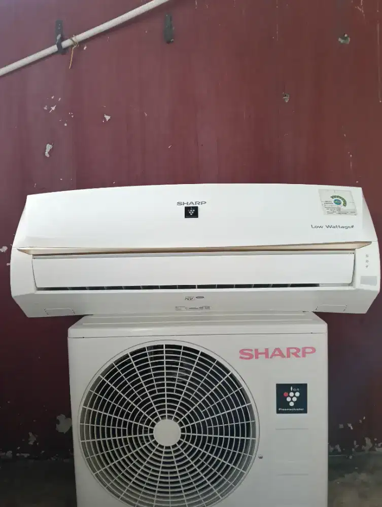 AC Sharp ion Plasmacluster 1 PK