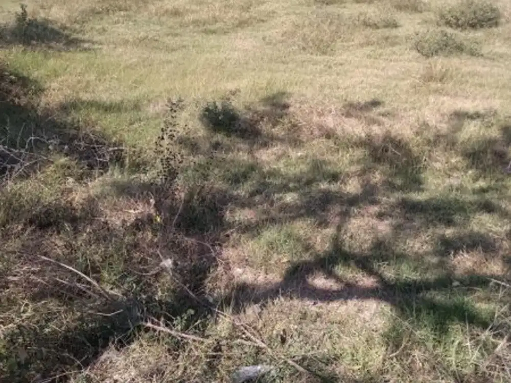 DIJUAL Tanah Desa Pereng Jenu Tuban