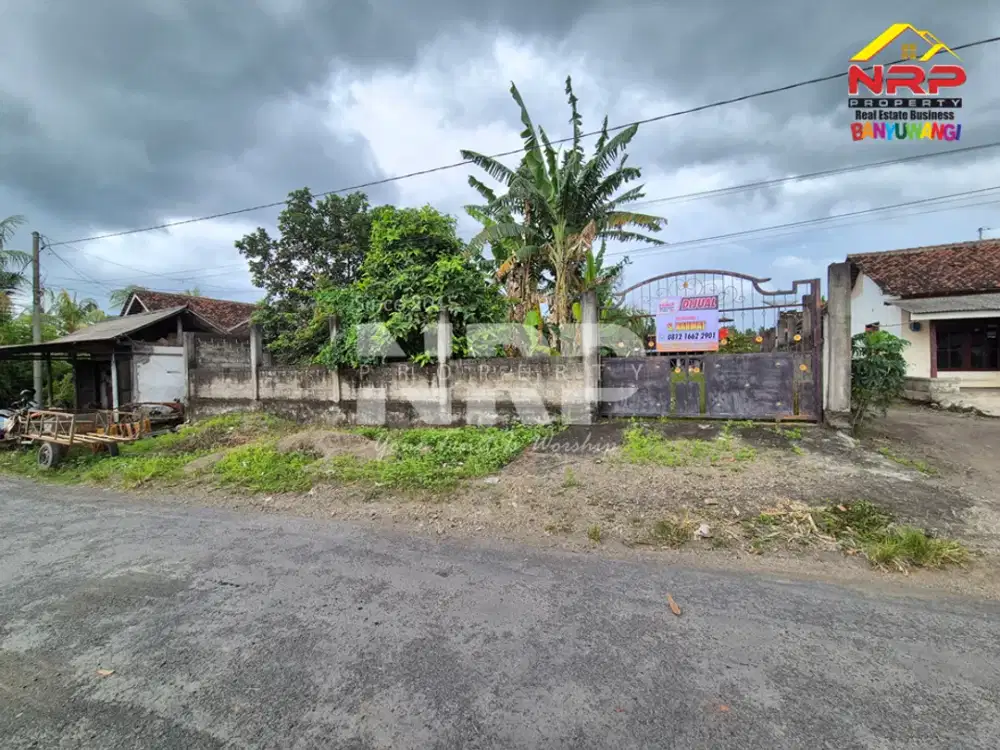Dijual Tanah Siap Bangun di tepi Jln Lintas Selatan - Watukebo, Banyuwangi