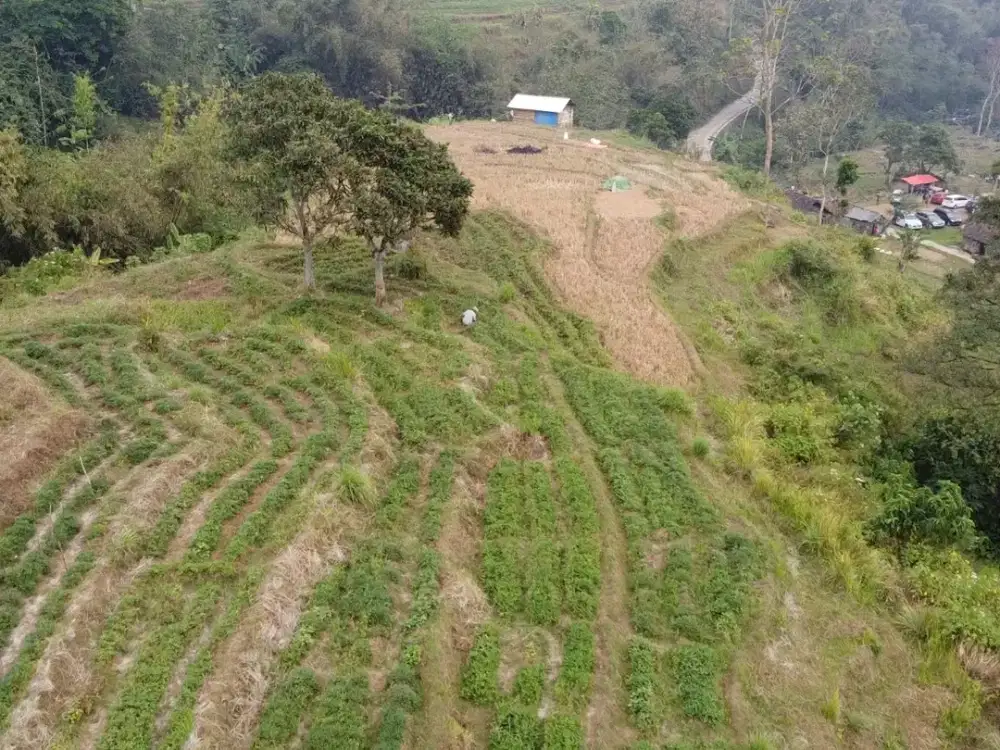 Dijual Tanah Sumber Meram - Sajen - Mojokerto