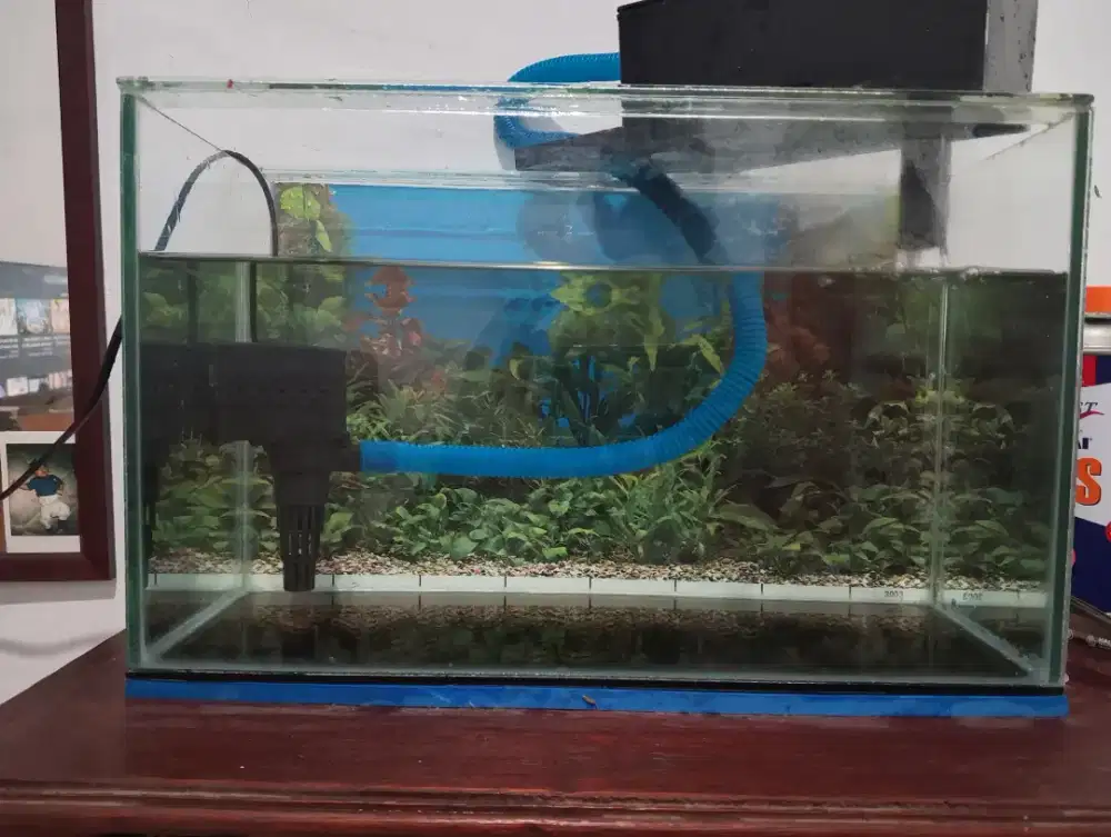 Aquarium + pompa + filter