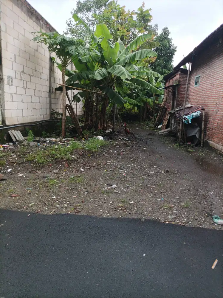 JUAL TANAH SECEPATNYA