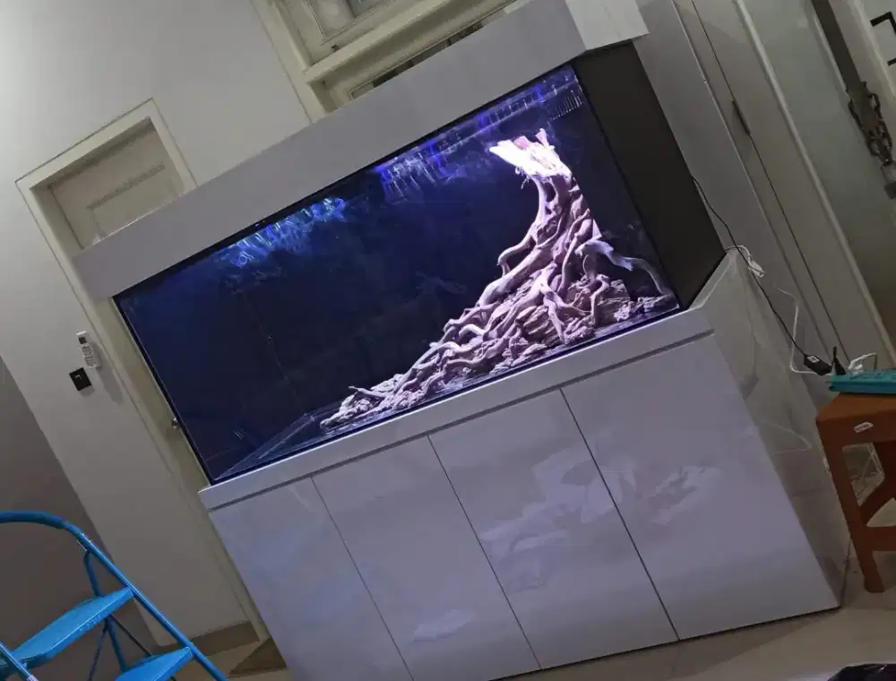 Aquarium + cabinet