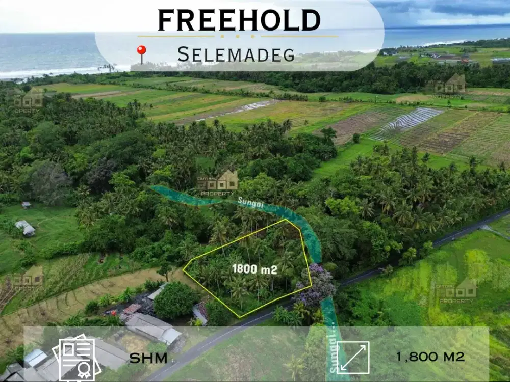 Tanah Strategis Pinggir Jalan dengan View Sungai di Selemadeg