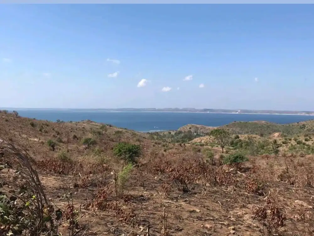 DIJUAL Tanah Siap Bangun di Teluk Awang Lombok Tengah