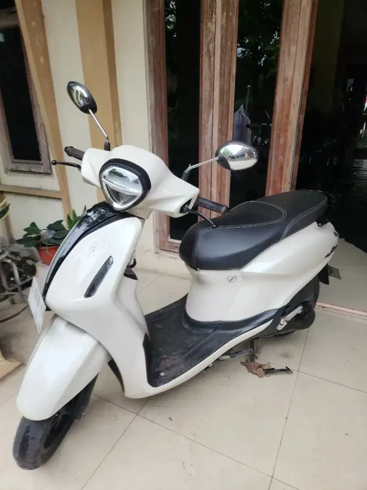 Grand filano putih 2023 barkode ready gbm