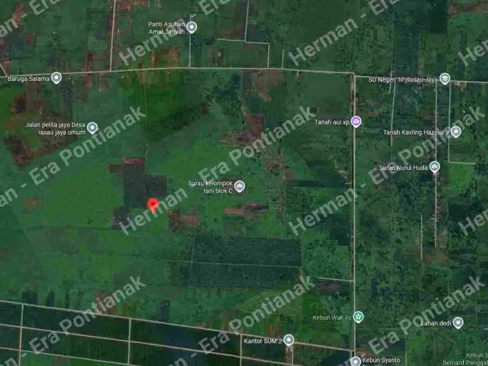 Lahan Seluas ±42 Hektar