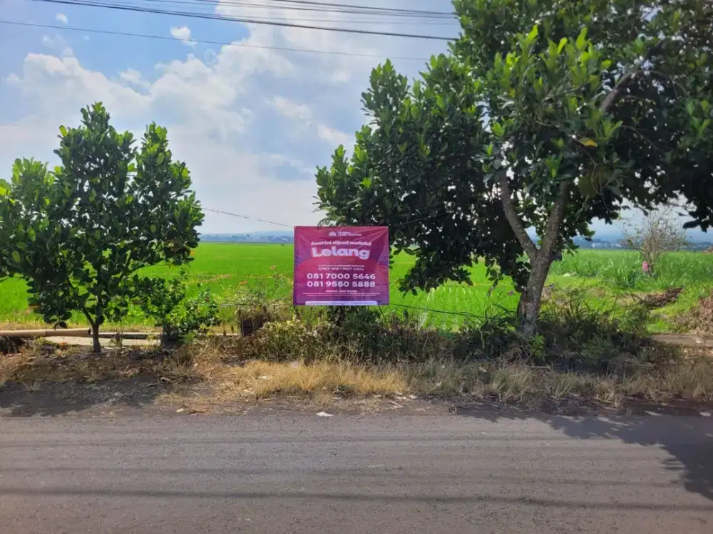 Tanah Strategis dan Murah di Kawasan Pakisaji, Malang dekat dengan Stasiun Kepanjen