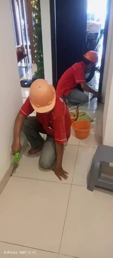 DIBUTUHKAN TEKNISI ANTI RAYAP YANG BISA NYETIR MOBIL