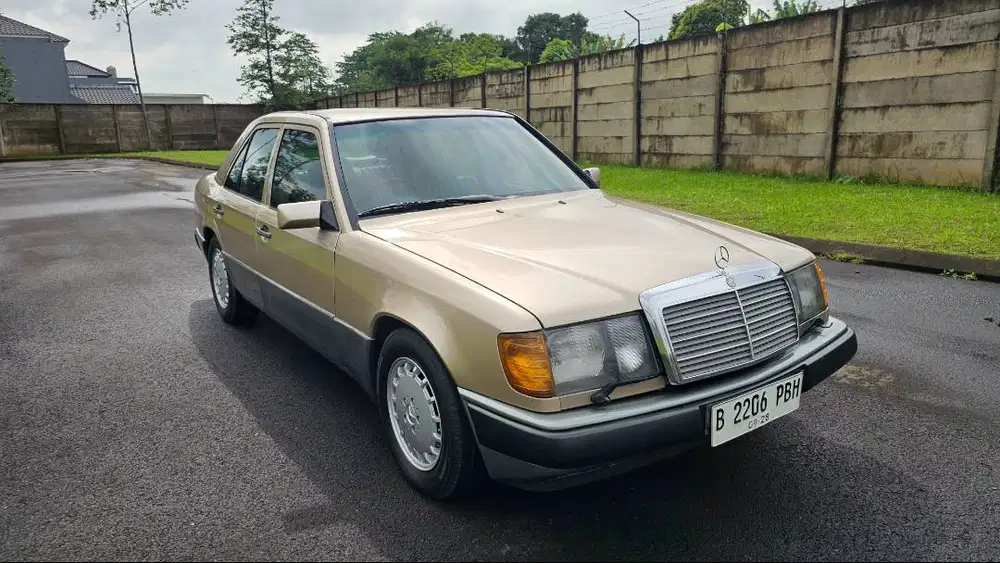 Mercedes Benz  Boxer W124 300 E  Special Order 1988 Automatic  ASLI