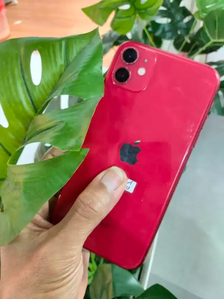 iphone 11 64 gb all operator