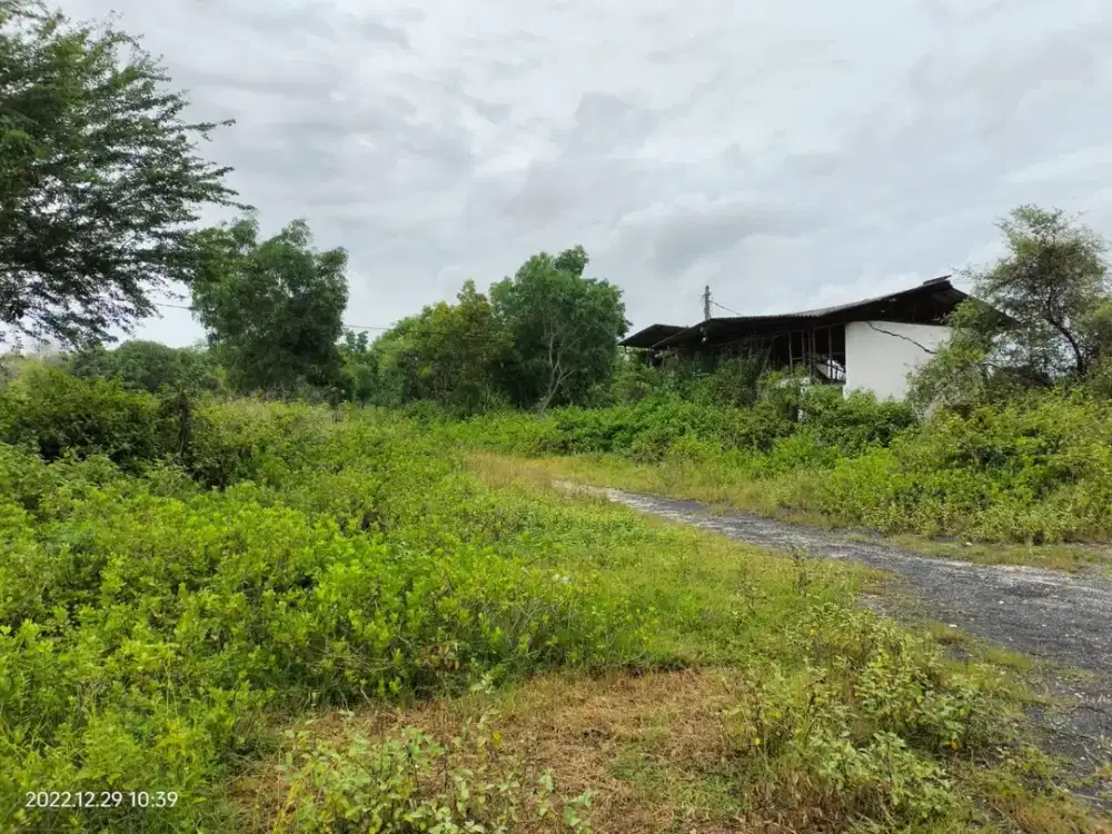 DIJUAL CEPAT MURAH LOKASI NOL JALAN SEMARANG PROVINSI JENU TUBAN JATIM