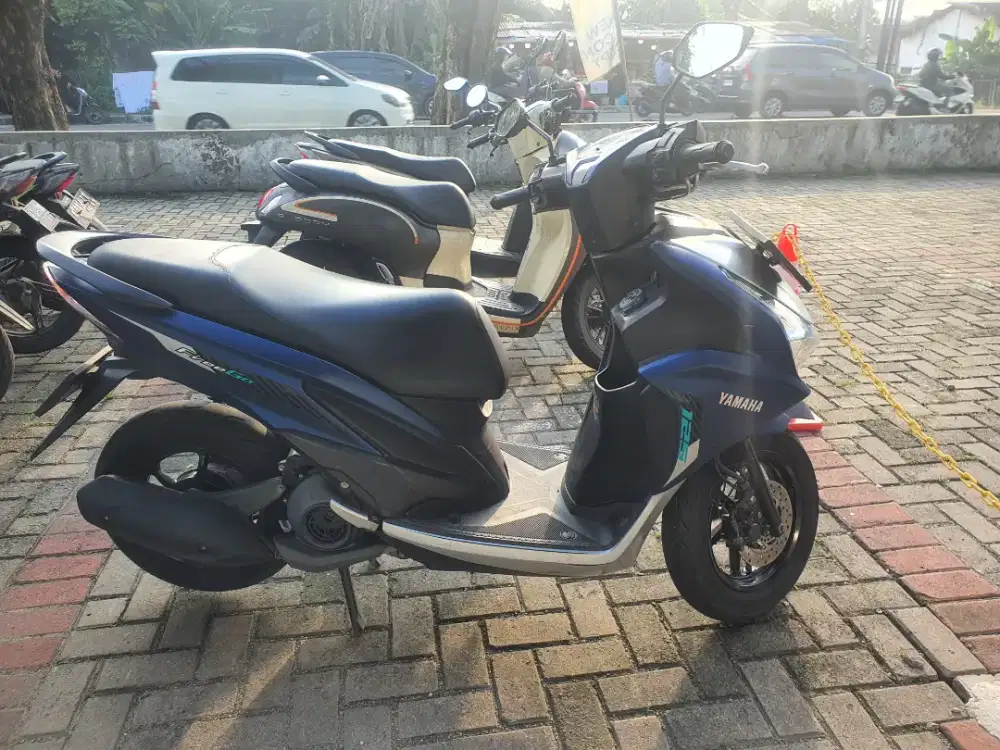 Fregoo 125 tahun 2023