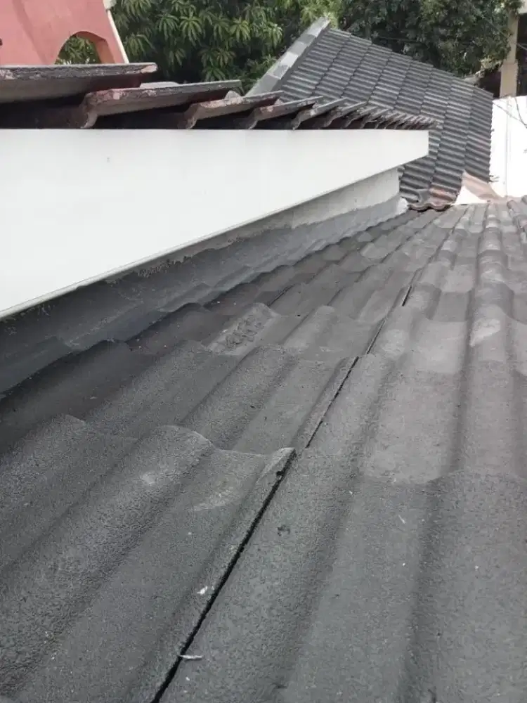 Tukang atap bocor,perbaikan dinding rembes, talang air dll