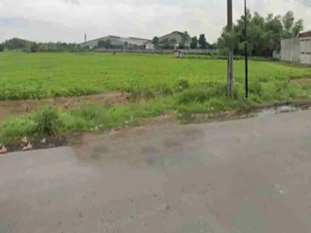 Tanah di Raya Wringinanon Gresik