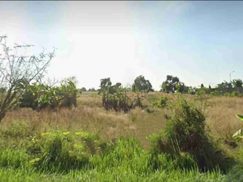 Tanah di Raya Mantup