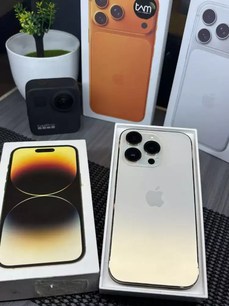 IPhone 14 Pro Max 256 (Gold)