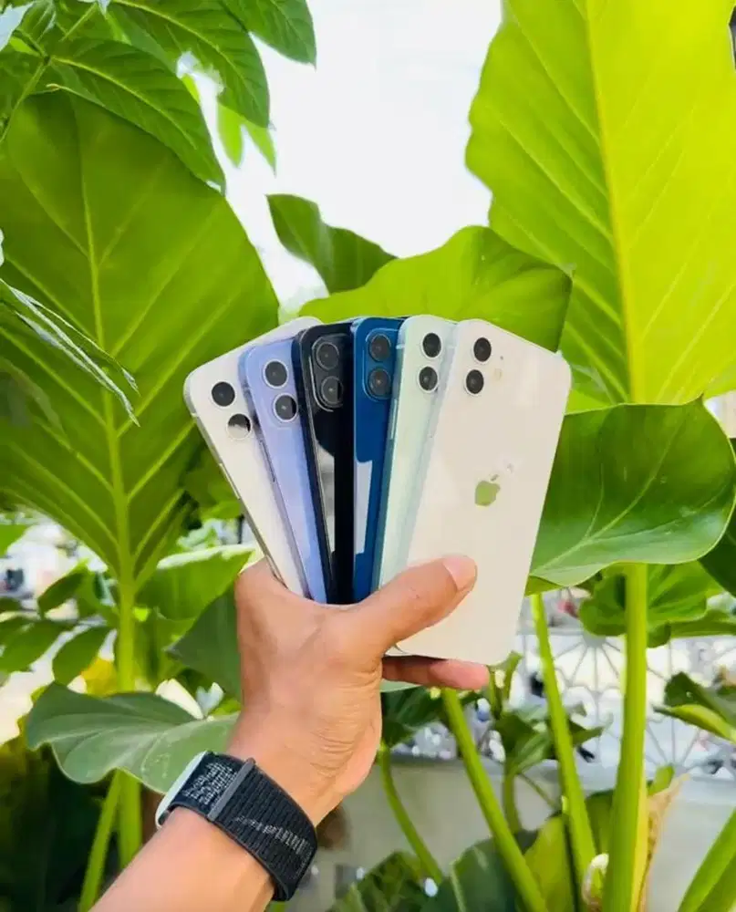 IPhone 12 256GB second