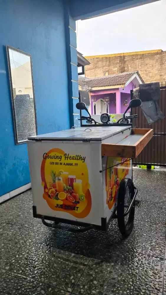 Grobak Sepeda Listrik Aviator Baru 1 Bln