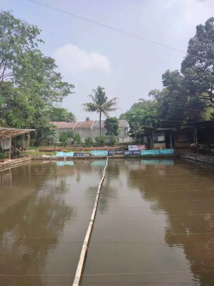 Tanah pemancingan 2.000M² dan dataran 500M²