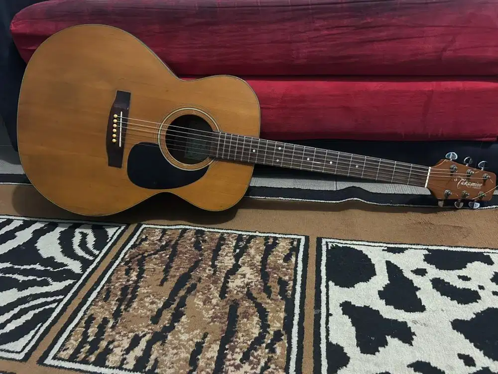 Gitar takamine g-series