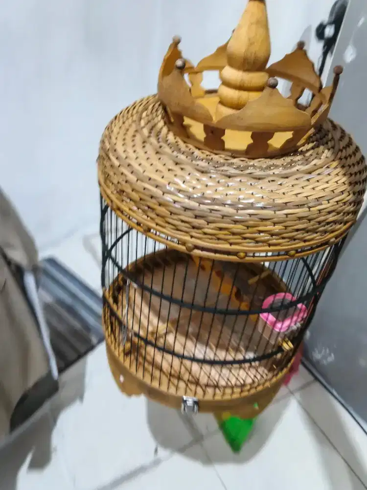 Sangkar perkutut rotan bambu