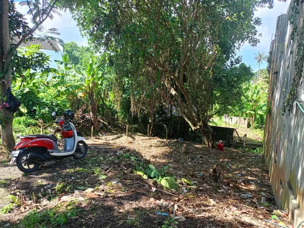 Dijual tanah Lokasi Selingsing munggu badung dekat ke canggu prerenan bali lingkungan villa2