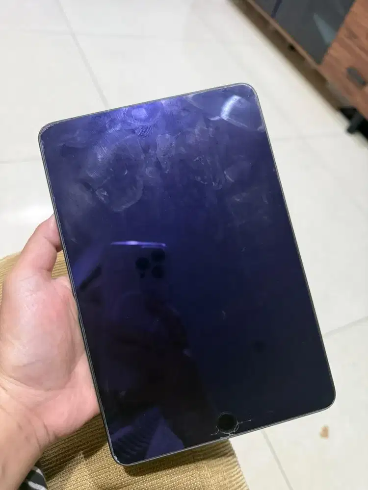 Ipad Mini 5 Gen Cellular Wifi 64 GB