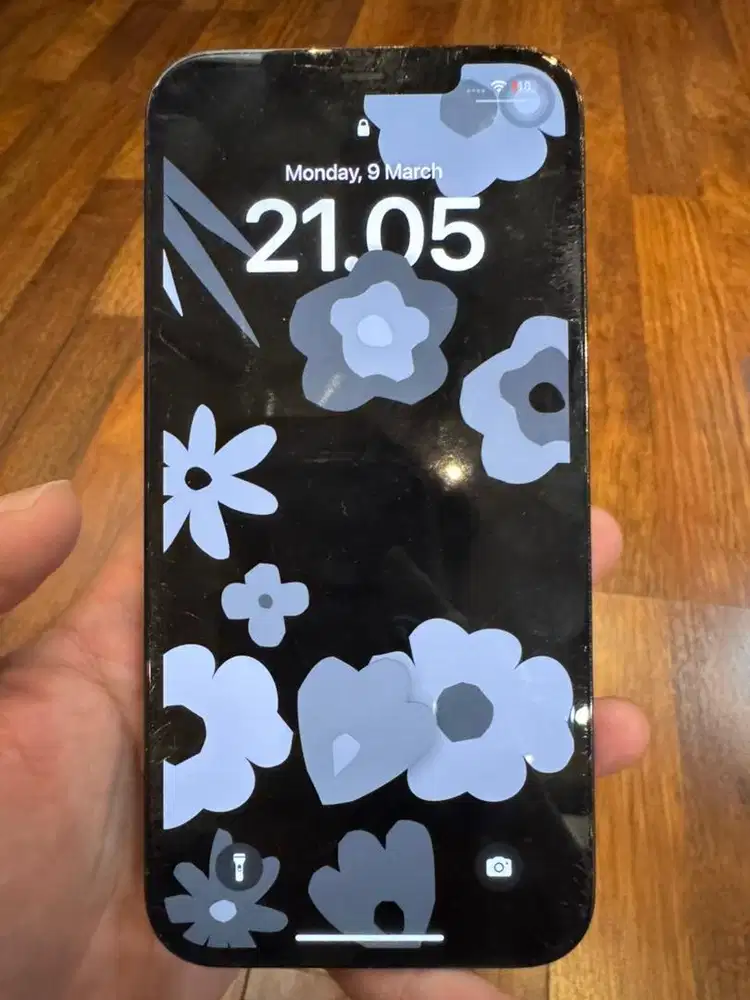 Iphone 12 Pro Max 128