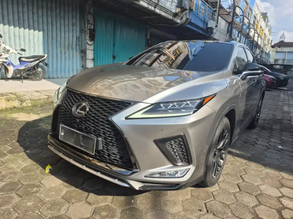 Lexus RX300 type F-sport 2022