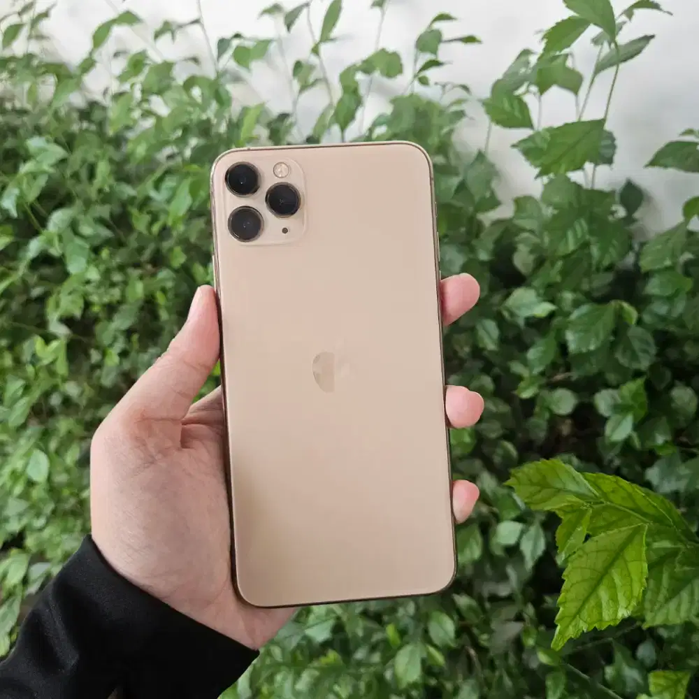 Iphone 11 promax 256gb ibox