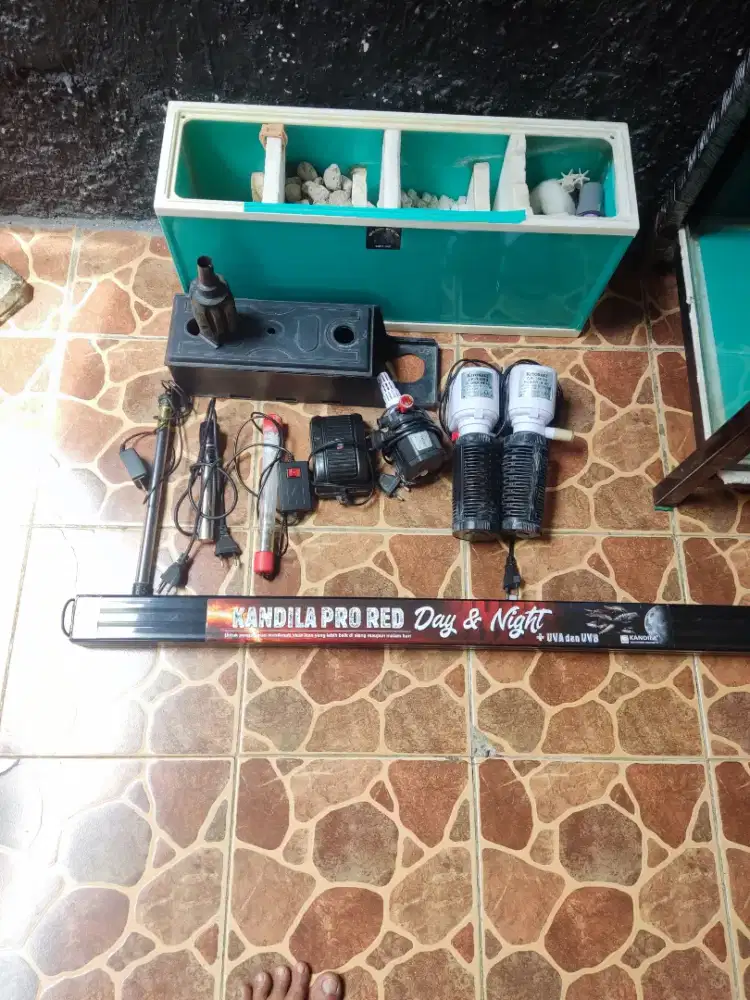 Accesories, aquarium, ikan, hias, air