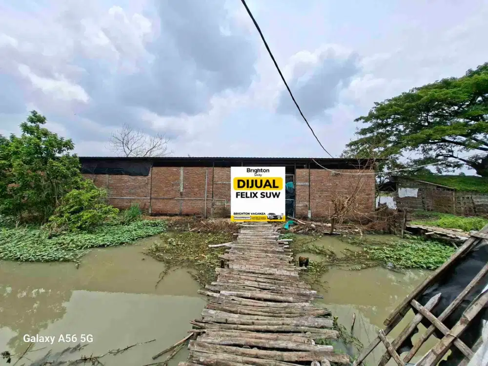 jual Tambak Udang di Jabon