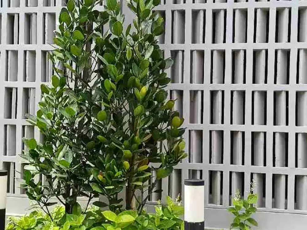 Disewakan/ Dijual Rumah 3 lt, Summarecon Crown Gading.Cluster Viola Residence, Premium Attic 2. Bekasi Utara.