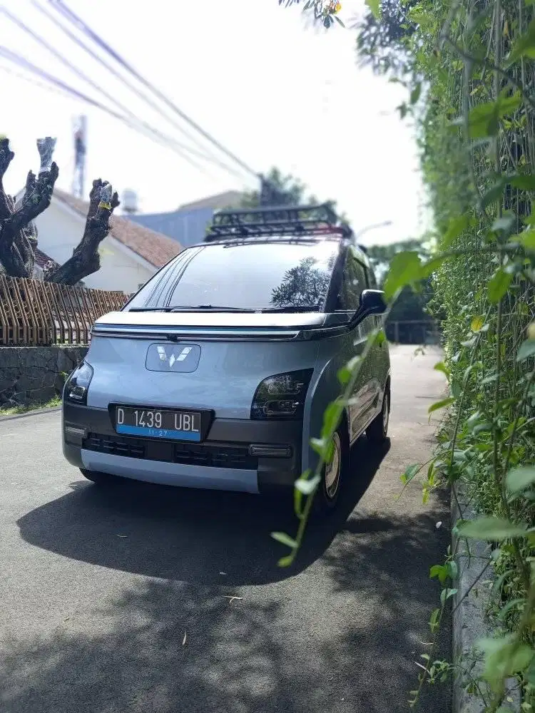 Wulling AIR EV 30KW 300lLV2022