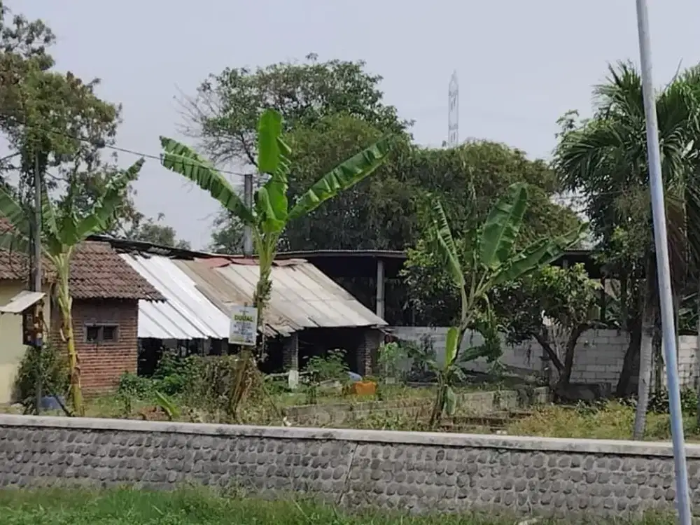 DIJUAL Tanah Murah HARGA Dibawah Pasar Di Nol Jalan Aspal Kampung Lokasi Dusun Dongol Krian Sidoarjo
