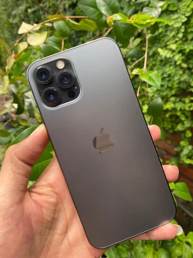 Iphone 12 promax 128gb Graphite Whitelist