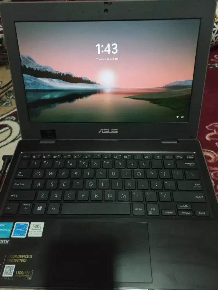 Laptop ASUS BR1100CKA-GJ0411T