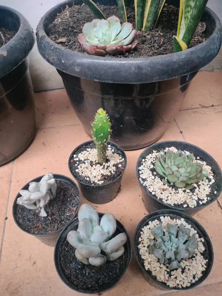 Di cari ART dan Momong Bayi (Tidak Menginap)