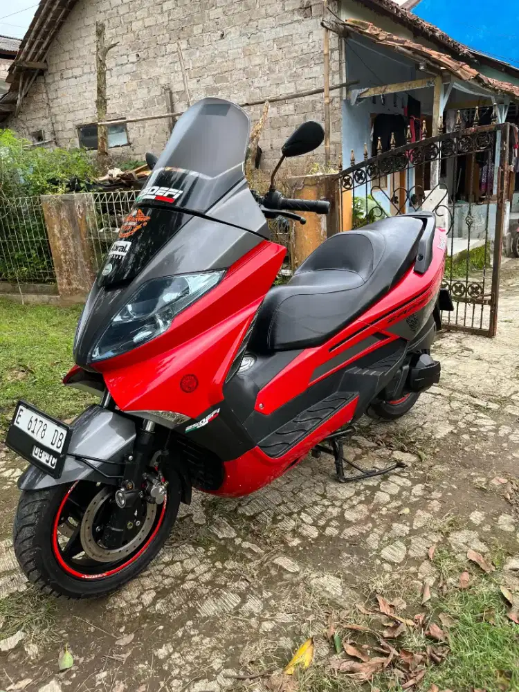 Binelli zefarano 2015