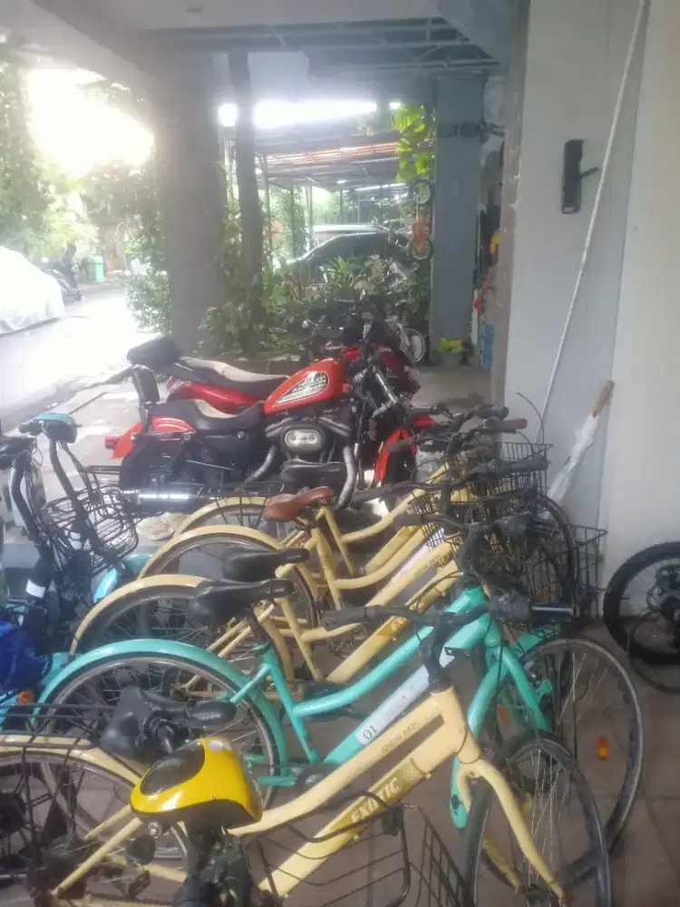 Sepeda keranjang exotick