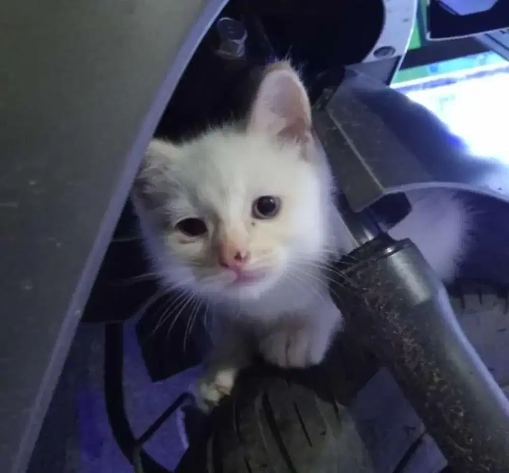 Cari loker sampingan sampai lebaran